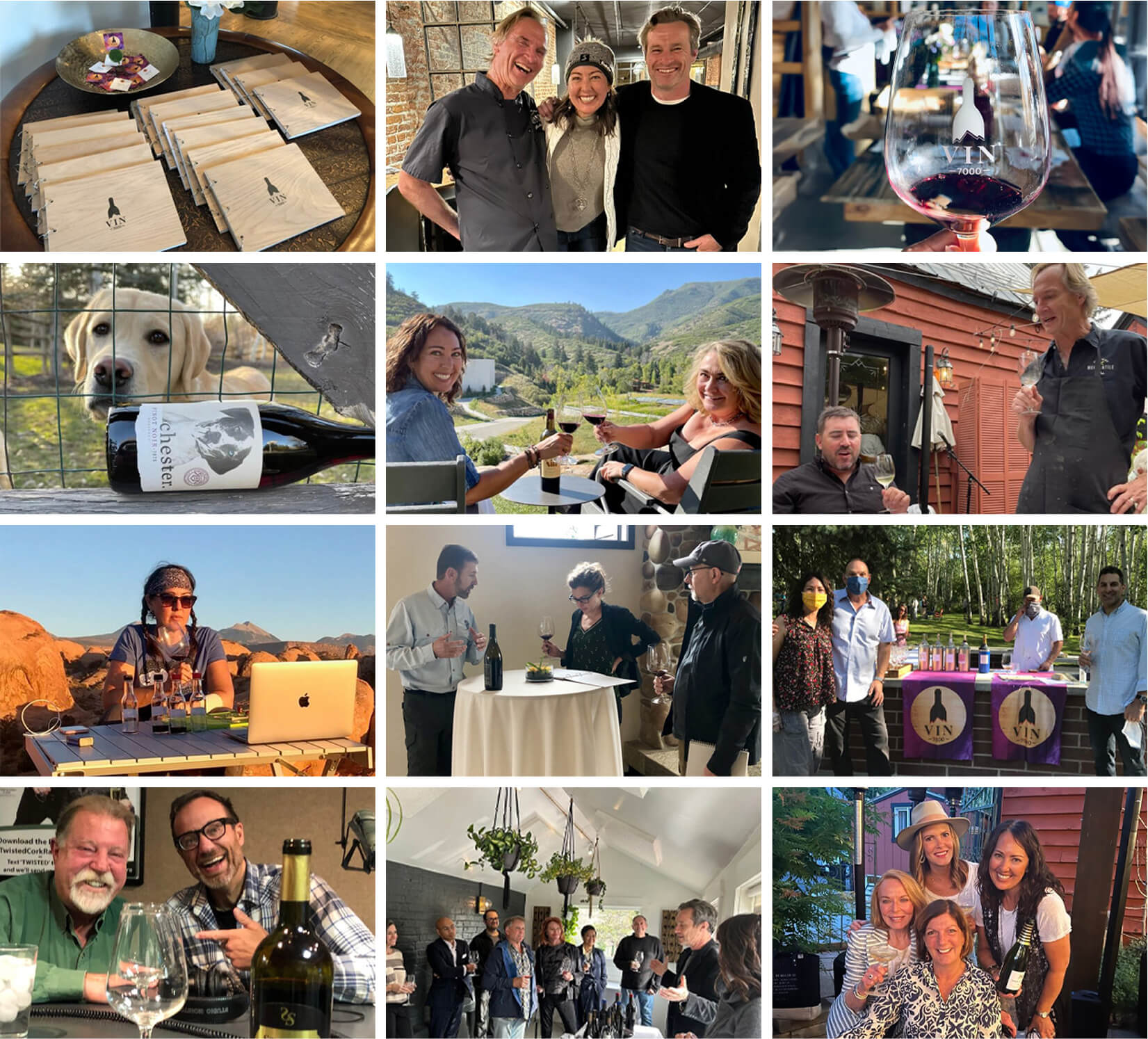 Grid of images from Vin 7000 events